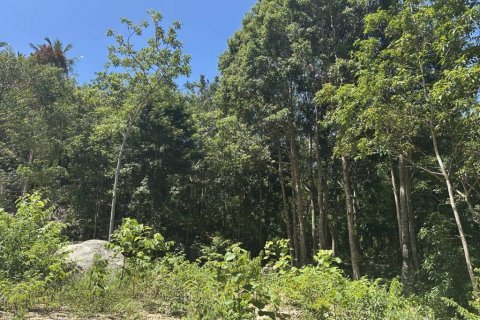 Земельный участок в Сураттхани, Таиланд  № 134648 - фото 5