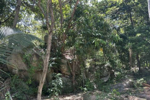 Земельный участок в Сураттхани, Таиланд  № 134648 - фото 4