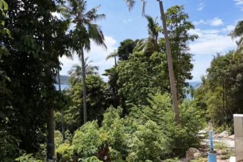 Земельный участок в Сураттхани, Таиланд  № 134648 - фото 2