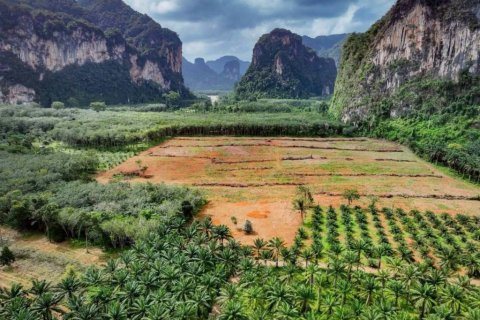 Land in Krabi, Thailand № 134643 - photo 4