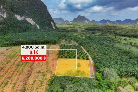 Land in Krabi, Thailand № 134643 - photo 6