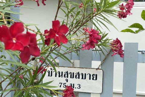 Дом в Ча-аме, Таиланд с 3 спальнями  № 159457