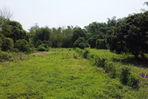 Земельный участок в Чиангмае, Таиланд  № 162661 - фото 15