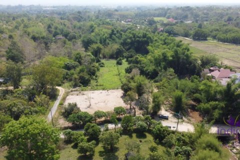 Земельный участок в Чиангмае, Таиланд  № 162661 - фото 10