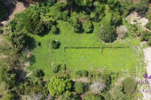 Земельный участок в Чиангмае, Таиланд  № 162661 - фото 13