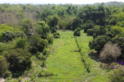 Земельный участок в Чиангмае, Таиланд  № 162661 - фото 9