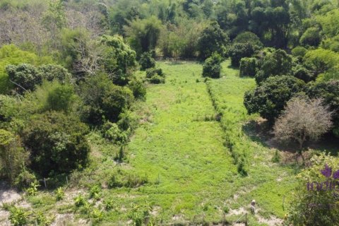 Земельный участок в Чиангмае, Таиланд  № 162661 - фото 8