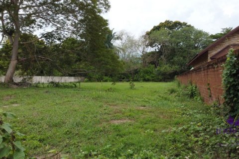 Land in Chiang Mai, Thailand № 162663 - photo 8