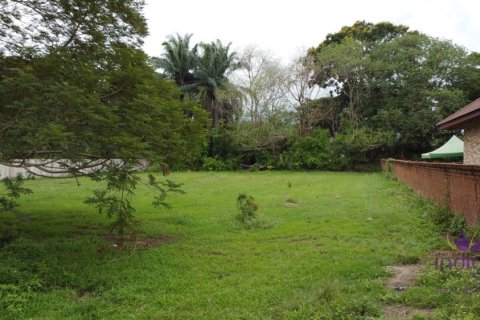 Land in Chiang Mai, Thailand № 162663 - photo 10