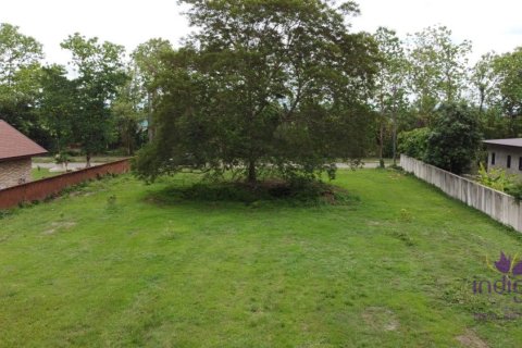 Land in Chiang Mai, Thailand № 162663 - photo 12