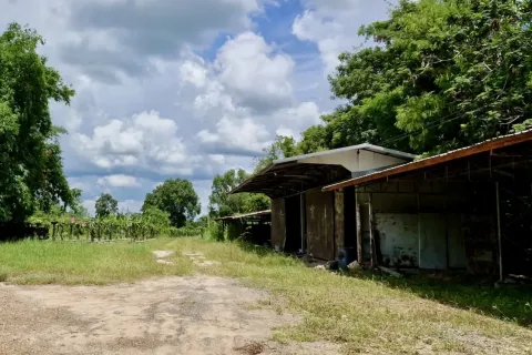 Land in Amnat Charoen, Thailand 12864 sq.m. № 167685 - photo 28