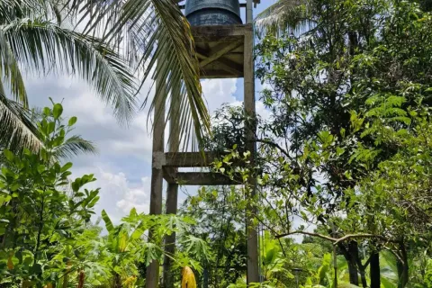 Land in Amnat Charoen, Thailand 12864 sq.m. № 167685 - photo 23