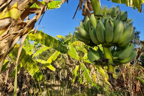 Land in Amnat Charoen, Thailand 12864 sq.m. № 167685 - photo 18