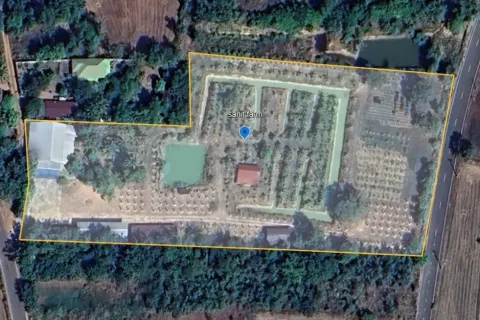 Land in Amnat Charoen, Thailand 12864 sq.m. № 167685