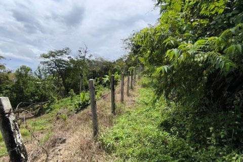 Земельный участок в Пхукете, Таиланд 5416м2  № 167684 - фото 12