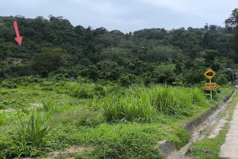 Земельный участок в Пхукете, Таиланд 5416м2  № 167684 - фото 2