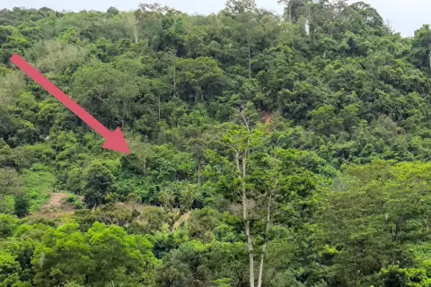 Земельный участок в Пхукете, Таиланд 5416м2  № 167684 - фото 3