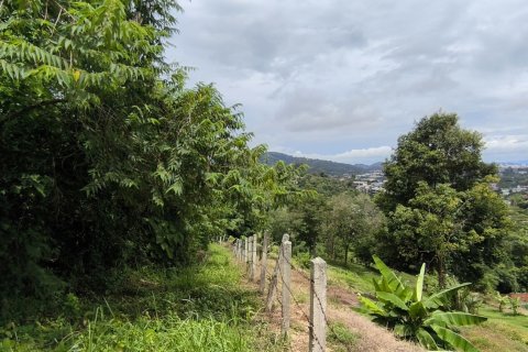 Земельный участок в Пхукете, Таиланд 5416м2  № 167684 - фото 10