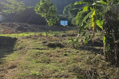 Terrain à Kathu, Thaïlande 8000 m2 № 162137 - photo 6