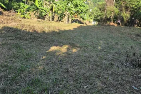 Terrain à Kathu, Thaïlande 8000 m2 № 162137 - photo 7