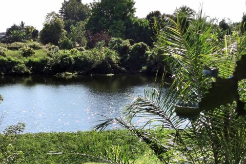 Villa à Tha Bo, Thaïlande 5 chambres № 142057 - photo 4