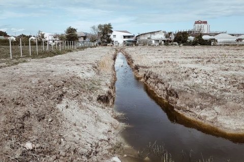 Terrain à Cha-am, Thaïlande 32000 m2 № 142053 - photo 4