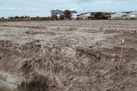 Terrain à Cha-am, Thaïlande 32000 m2 № 142053 - photo 5