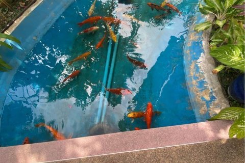 Condo in Kathu, Thailand, 2 bedrooms  № 142054 - photo 18