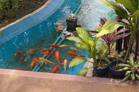 Condo in Kathu, Thailand, 2 bedrooms  № 142054 - photo 9