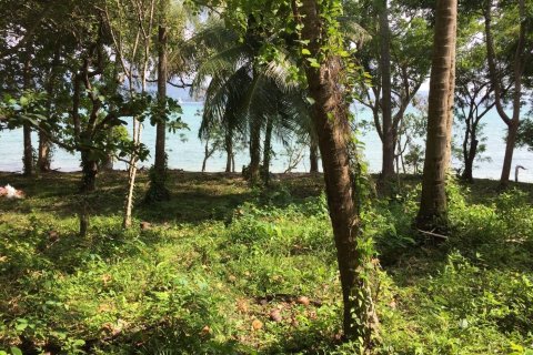 Terrain à Phuket, Thaïlande 56000 m2 № 155856 - photo 2