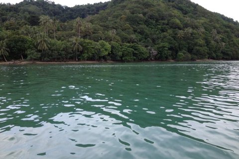 Terrain à Phuket, Thaïlande 56000 m2 № 155856 - photo 3