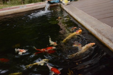 Дом в Сарабури, Таиланд с 3 спальнями  № 152168 - фото 10