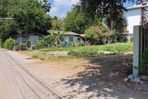 Земельный участок в Чиангмае, Таиланд 1060м2  № 169478