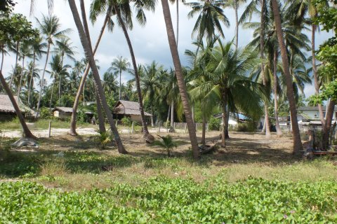 Terrain à Ko Samui, Thaïlande 944 m2 № 154146 - photo 5