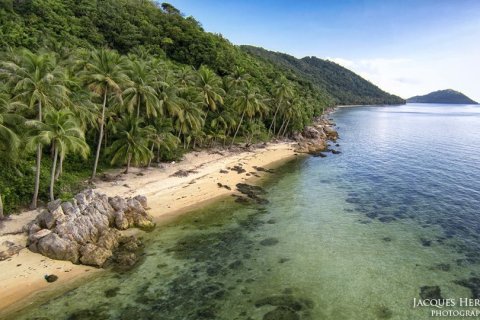 Terrain à Ko Samui, Thaïlande 944 m2 № 154146 - photo 12