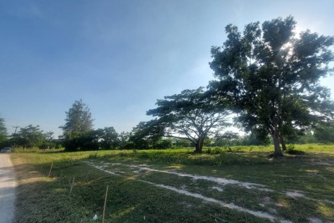 Земельный участок в Хуа Хине, Таиланд 52800м2  № 154149 - фото 7