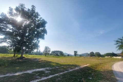 Земельный участок в Хуа Хине, Таиланд 52800м2  № 154149 - фото 5