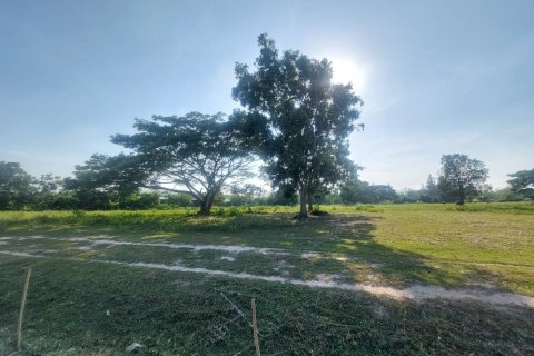 Земельный участок в Хуа Хине, Таиланд 52800м2  № 154149 - фото 2
