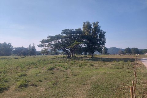 Земельный участок в Хуа Хине, Таиланд 52800м2  № 154149 - фото 6