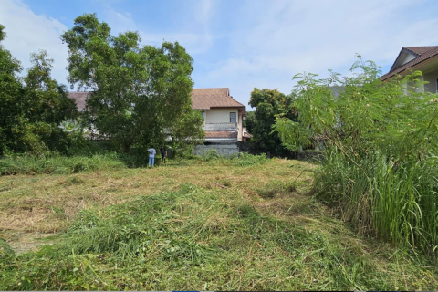 Land in Phuket, Thailand 500 sq.m. № 137126 - photo 3