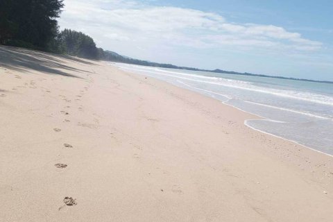 Земельный участок в Пхангнге, Таиланд 78784м2  № 151485 - фото 5