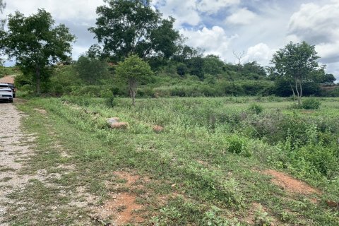 Земельный участок в Хуа Хине, Таиланд 2016м2  № 144978 - фото 8