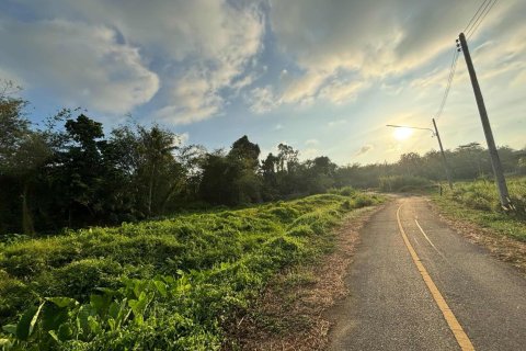 Land in Phuket, Thailand 1752 sq.m. № 148251 - photo 5