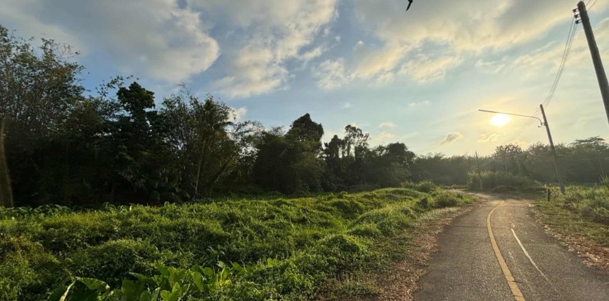 Land in Phuket, Thailand 1752 sq.m. № 148251