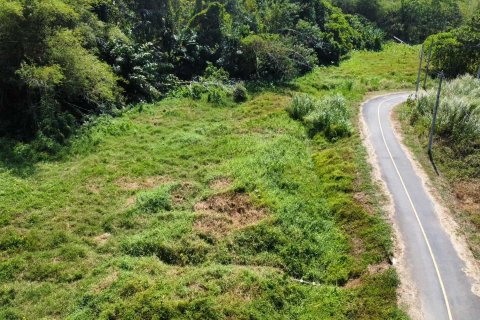 Land in Phuket, Thailand 1752 sq.m. № 148251 - photo 3