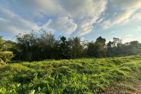 Land in Phuket, Thailand 1752 sq.m. № 148251 - photo 6