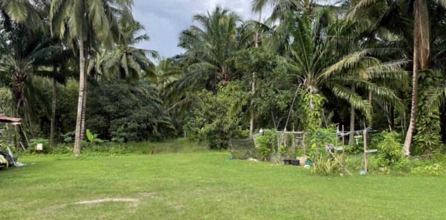 Земельный участок в Краби, Таиланд 1614м2  № 148247