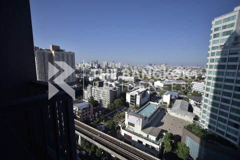 Condo à Bangkok, Thaïlande, 1 chambre  № 184609 - photo 7