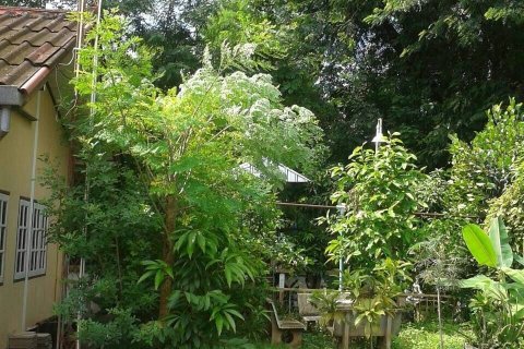 Таунхаус в Нонгкхае, Таиланд с 25 спальнями  № 148935 - фото 5