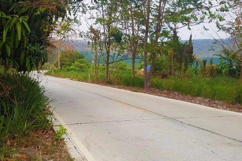 Land in Chiang Mai, Thailand 38400 sq.m. № 148931 - photo 2